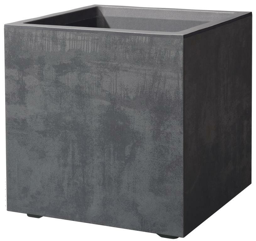 product 2446 product 2446