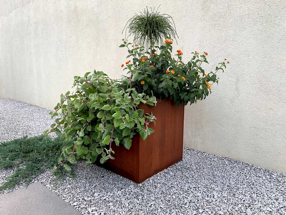 donica z cortenu cubo kwadratowa stalowa cortena.jpg donica z cortenu cubo kwadratowa stalowa cortena.jpg