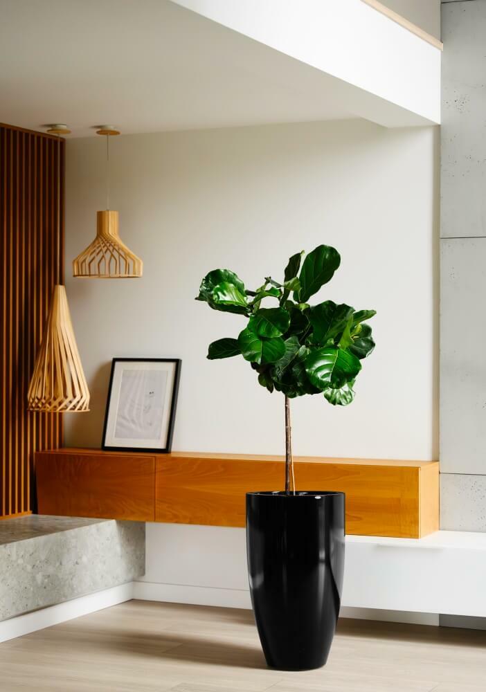 foto add 10443.jpg foto add 10443.jpg