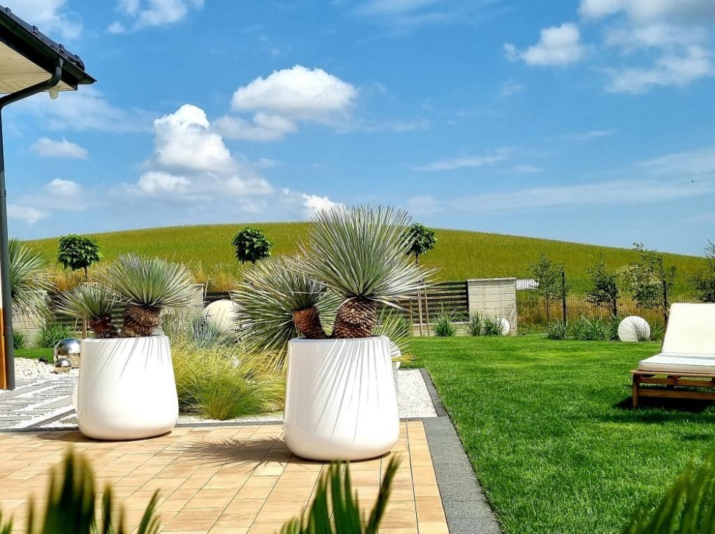 foto add 1164.jpg foto add 1164.jpg