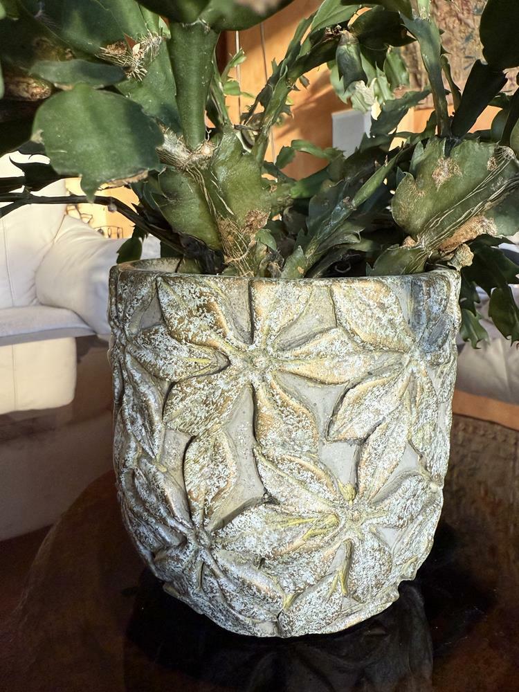 foto add 11707.jpg foto add 11707.jpg