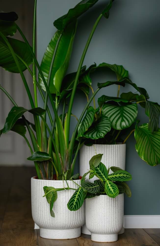Plantenpot Mood – Ø 29 cm / H 30 cm Plantenpot Mood – Ø 29 cm / H 30 cm