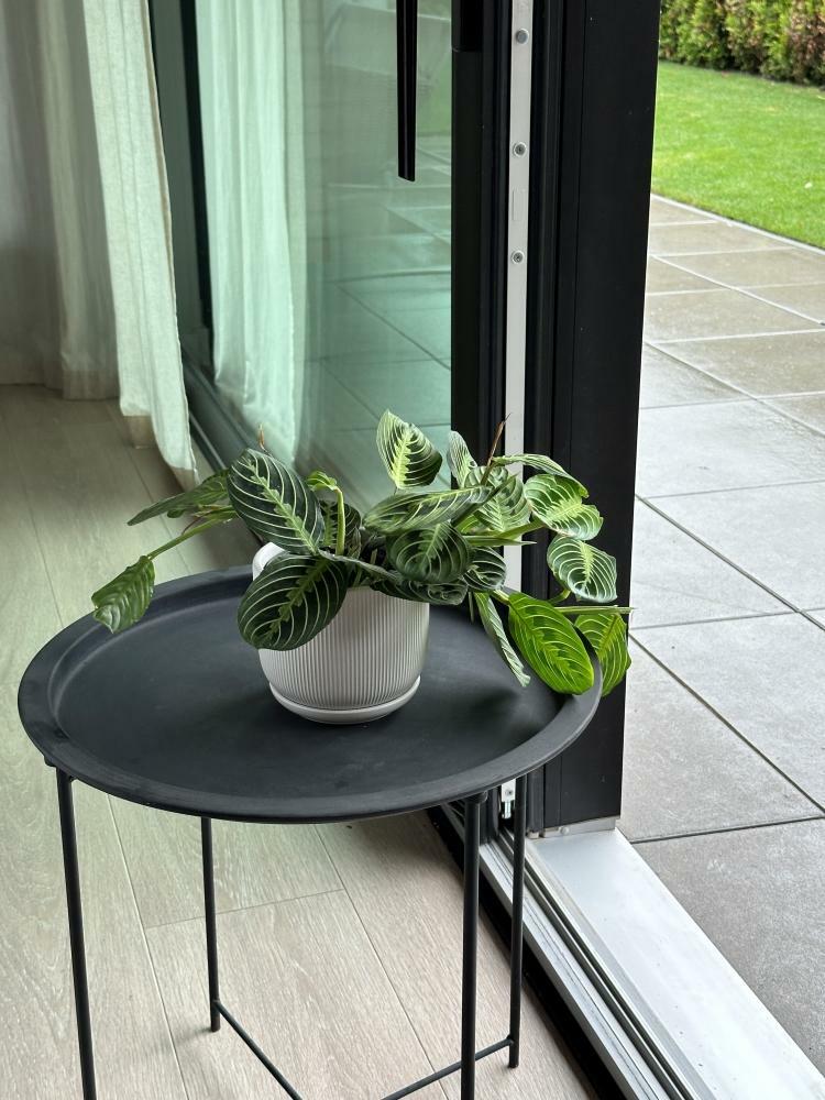 Plantenpot Barcelona – Ø 14 cm / H 12 cm Plantenpot Barcelona – Ø 14 cm / H 12 cm - foto 4