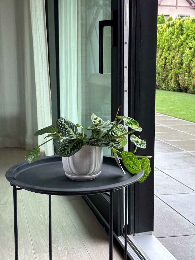 Plantenpot Barcelona – Ø 14 cm / H 12 cm Plantenpot Barcelona – Ø 14 cm / H 12 cm - foto 5
