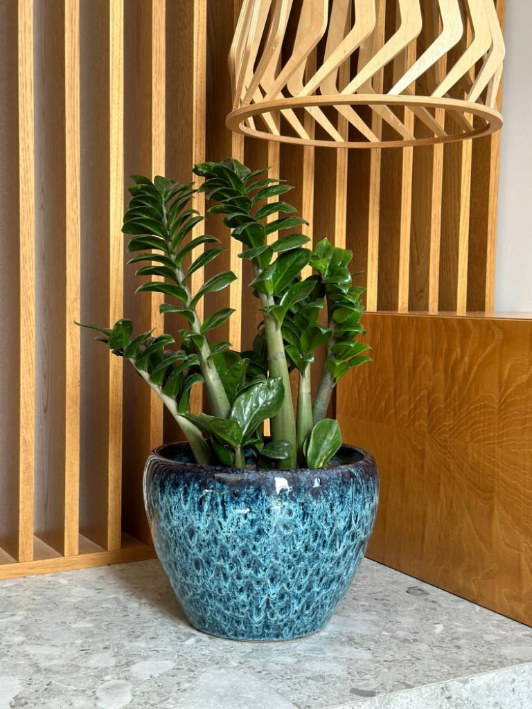 Plantenpot Mood – Ø 28 cm / H 21 cm Plantenpot Mood – Ø 28 cm / H 21 cm - foto 2