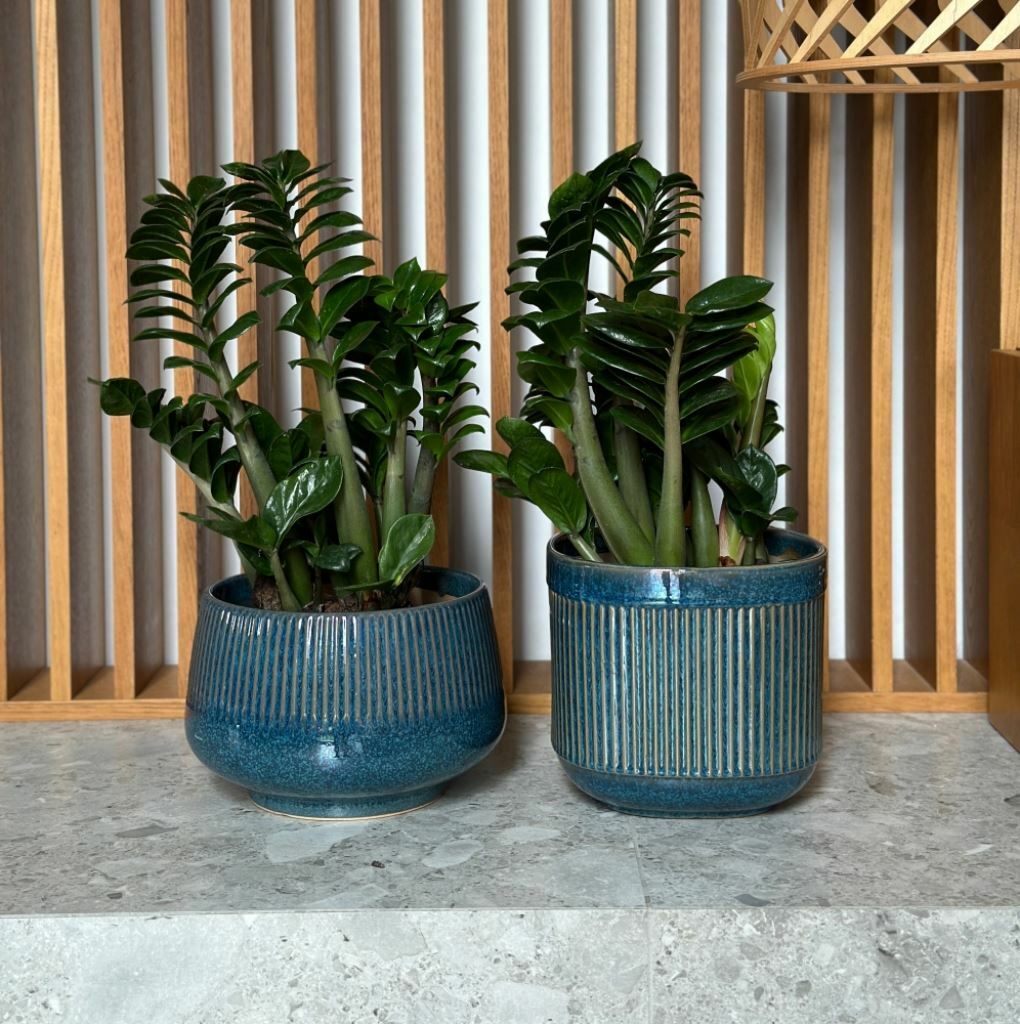 Plantenpot Mood – Ø 15 cm / H 11 cm Plantenpot Mood – Ø 15 cm / H 11 cm - foto 2