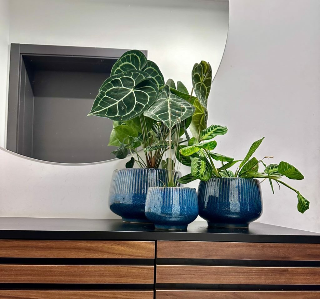Plantenpot Mood – Ø 26 cm / H 18 cm Plantenpot Mood – Ø 26 cm / H 18 cm - foto 3