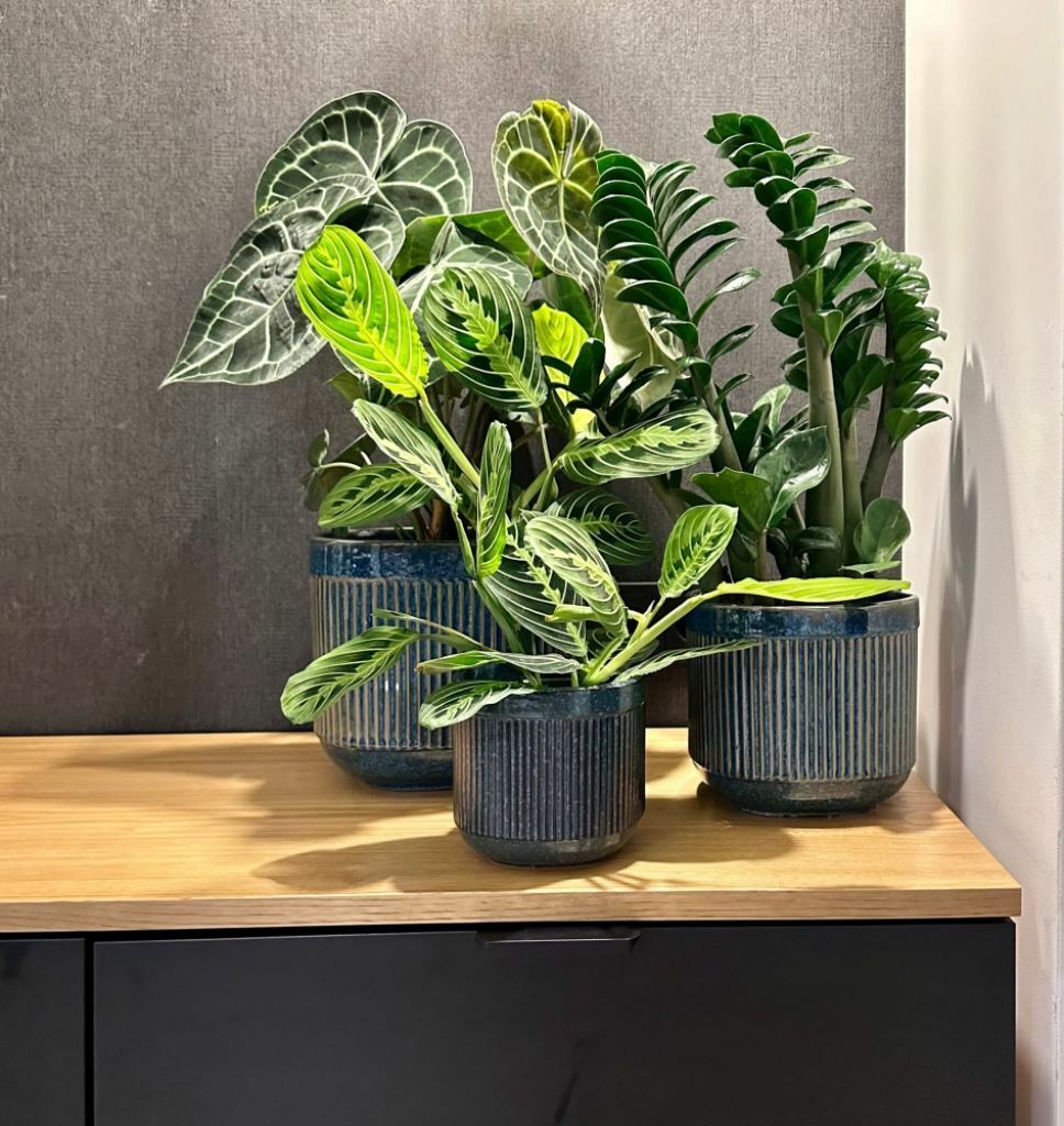 Plantenpot Mood – Ø 17 cm / H 16 cm Plantenpot Mood – Ø 17 cm / H 16 cm - foto 3