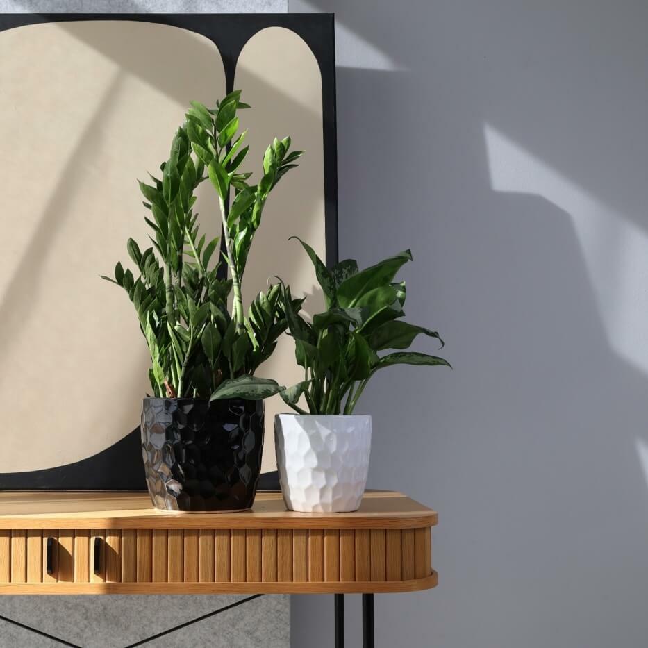 Plantenpot Nieuw 2026 – Ø 17 cm / H 16 cm Plantenpot Nieuw 2026 – Ø 17 cm / H 16 cm - foto 2