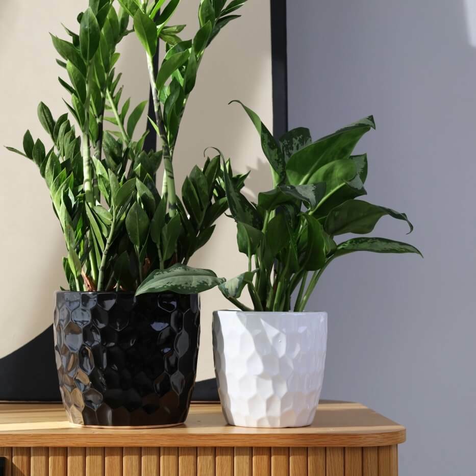 Plantenpot Nieuw 2026 – Ø 21 cm / H 19 cm Plantenpot Nieuw 2026 – Ø 21 cm / H 19 cm - foto 3