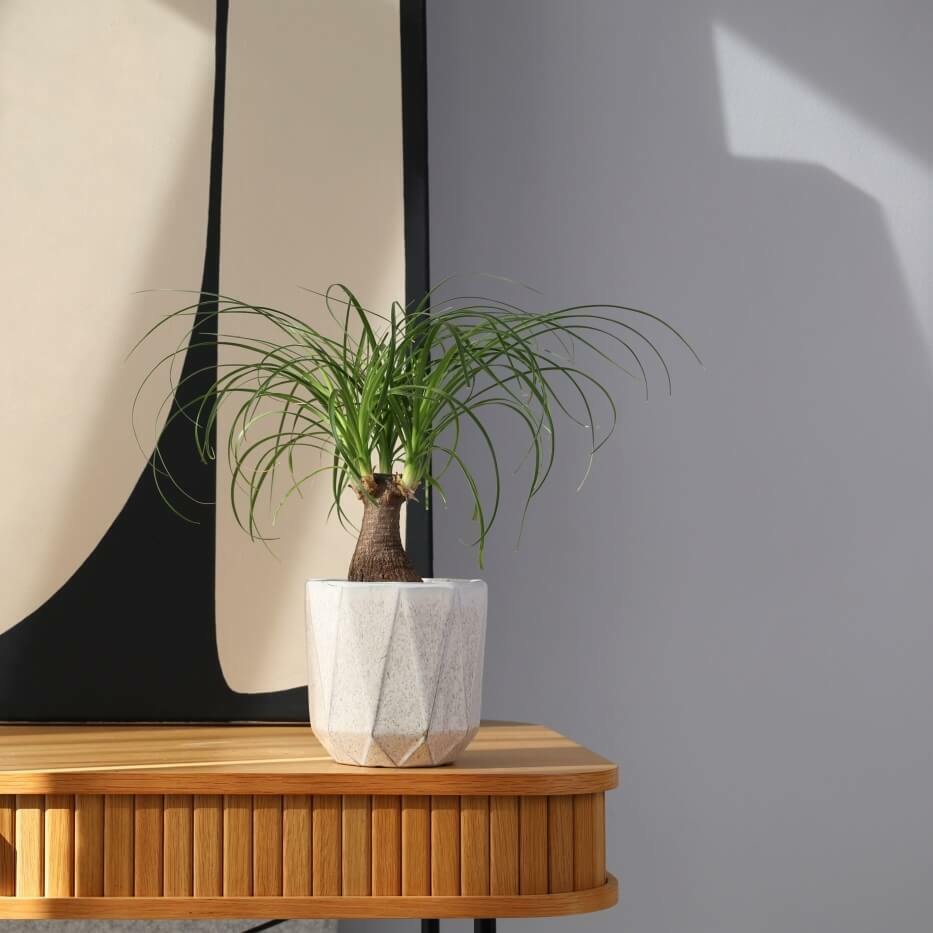 Plantenpot Mood – Ø 19 cm / H 19 cm Plantenpot Mood – Ø 19 cm / H 19 cm - foto 2