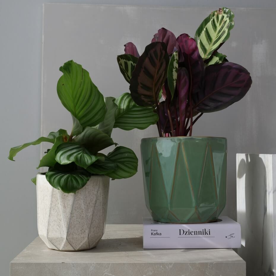 Plantenpot Mood – Ø 19 cm / H 19 cm Plantenpot Mood – Ø 19 cm / H 19 cm - foto 3