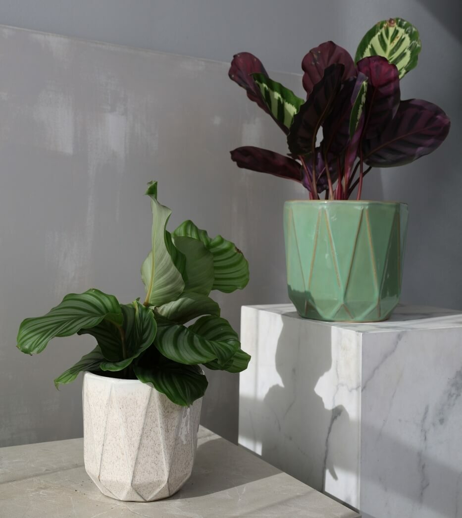 Plantenpot Mood – Ø 19 cm / H 19 cm Plantenpot Mood – Ø 19 cm / H 19 cm - foto 4