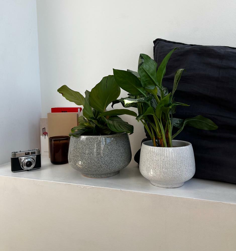 Plantenpot Nieuw 2026 – Ø 19 cm / H 15 cm Plantenpot Nieuw 2026 – Ø 19 cm / H 15 cm - foto 2