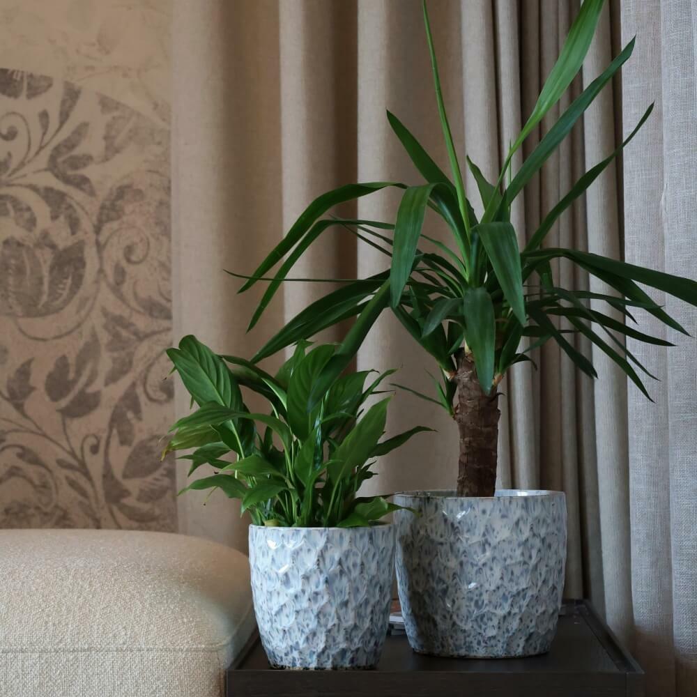 Plantenpot Mood – Ø 17 cm / H 16 cm Plantenpot Mood – Ø 17 cm / H 16 cm - foto 2
