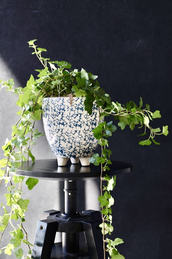 foto add 15877.jpg foto add 15877.jpg