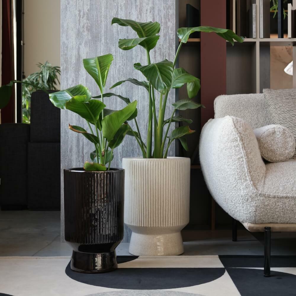 Plantenpot Mood – Ø 33 cm / H 46 cm Plantenpot Mood – Ø 33 cm / H 46 cm - foto 2