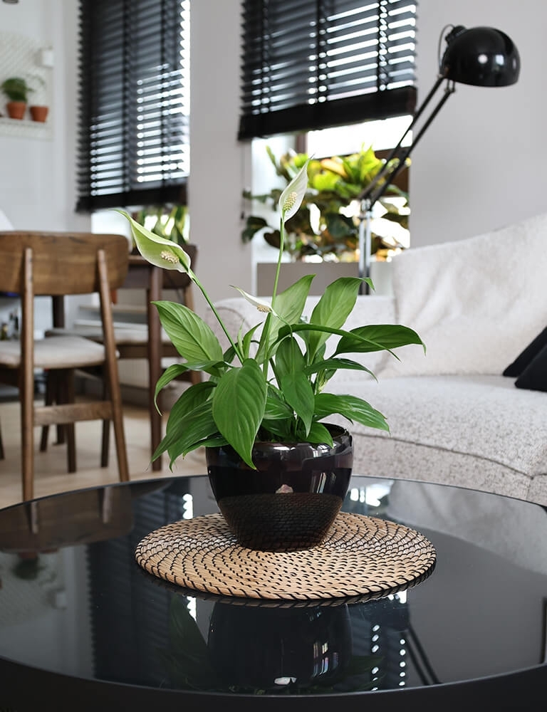 Plantenpot Mood – Ø 19 cm / H 14 cm Plantenpot Mood – Ø 19 cm / H 14 cm - foto 5