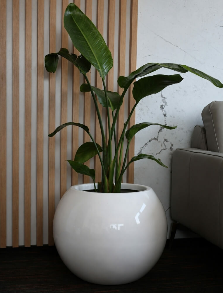 Buitenplantenbak Fiberglass – Ø 50 cm / H 40 cm Buitenplantenbak Fiberglass – Ø 50 cm / H 40 cm - foto 2