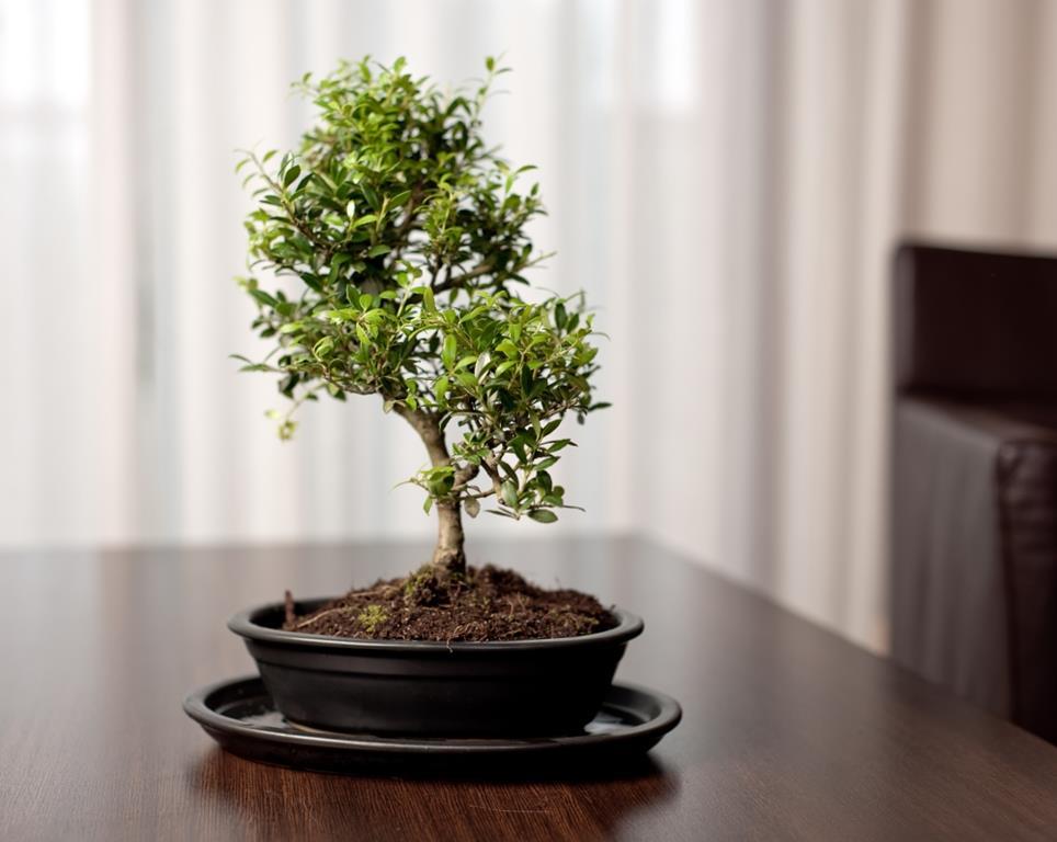 foto add 4199.jpg foto add 4199.jpg