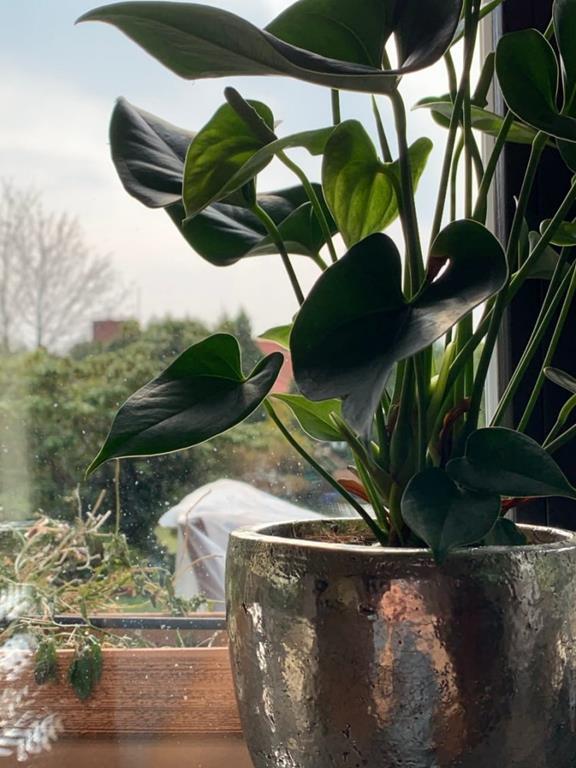 foto add 4700.jpg foto add 4700.jpg