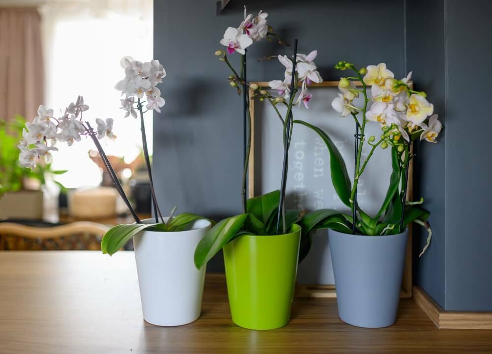 foto add 5604.jpg foto add 5604.jpg