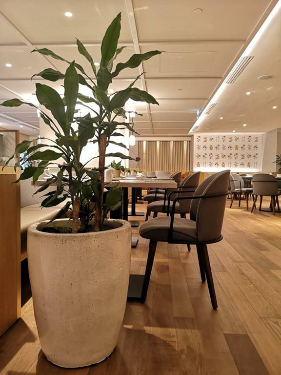 foto add 7030.jpeg Moderne plantenbak in stijlvolle zakelijke binnenruimte