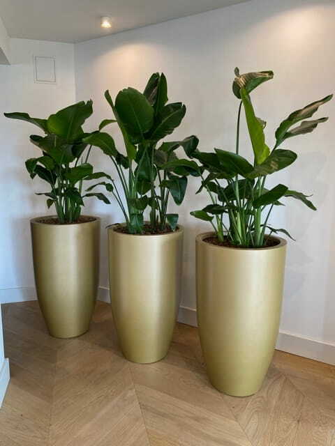 Buitenplantenbak Fiberglass – Ø 55 cm / H 100 cm – RAL-kleur naar keuze Buitenplantenbak Fiberglass – Ø 55 cm / H 100 cm – RAL-kleur naar keuze - foto 3
