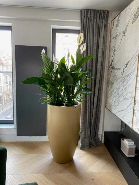 Buitenplantenbak Fiberglass – Ø 55 cm / H 100 cm – RAL-kleur naar keuze Buitenplantenbak Fiberglass – Ø 55 cm / H 100 cm – RAL-kleur naar keuze - foto 4