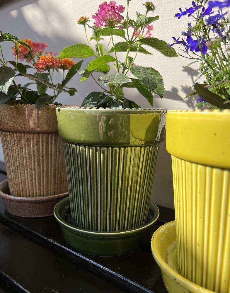 foto add 8841.jpg foto add 8841.jpg