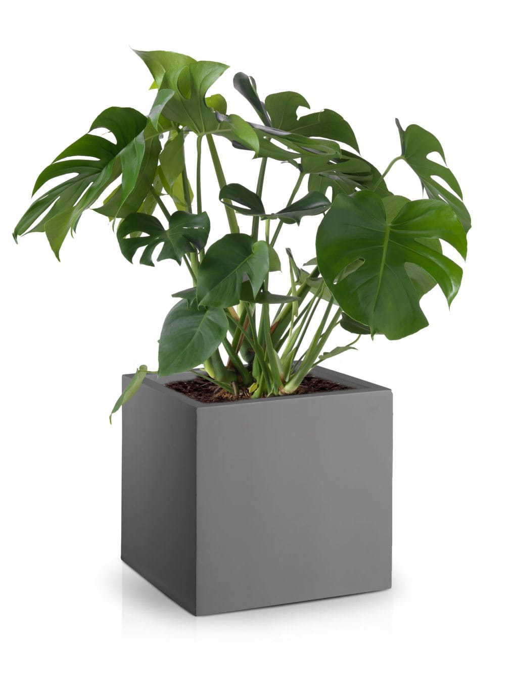 Buitenplantenbak Fiberglass – Ø 40 cm / H 40 cm Buitenplantenbak Fiberglass – Ø 40 cm / H 40 cm - foto 2