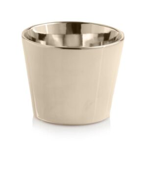 product 1145.jpg