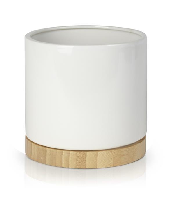 product 1231.jpg product 1231.jpg