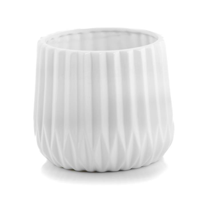 product 1243.jpg product 1243.jpg