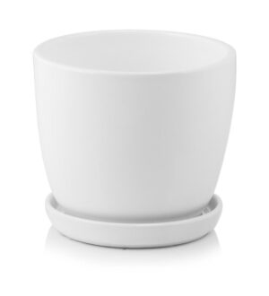 product 1309.jpg