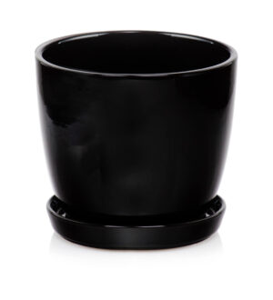 product 1333.jpg