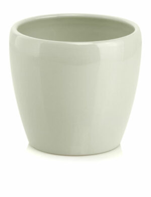 product 1386.jpeg