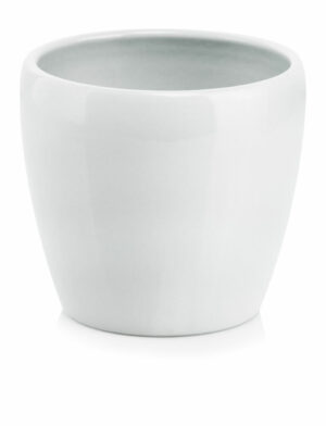 product 1388.jpeg