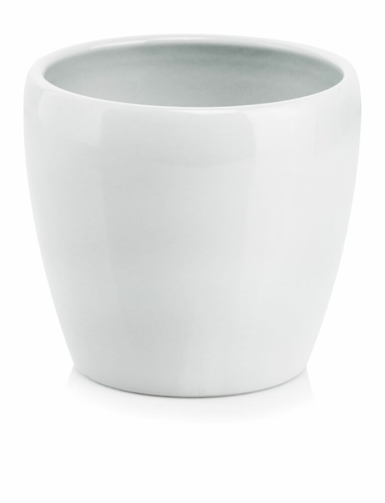 product 1388.jpeg product 1388.jpeg