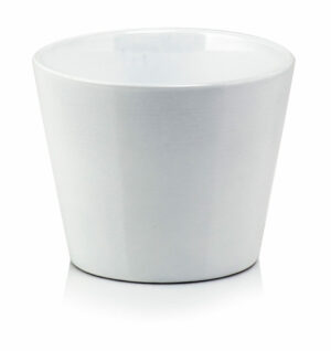 product 1419.jpg