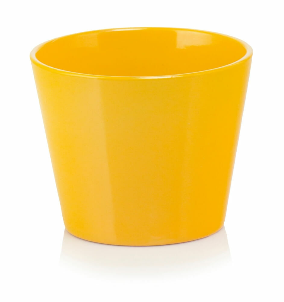 product 1420.jpg product 1420.jpg