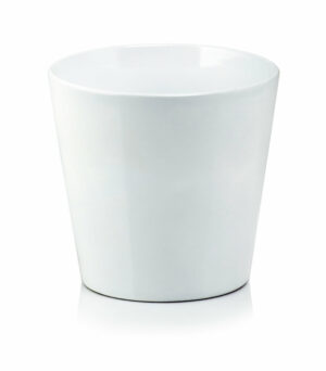 product 1440.jpg