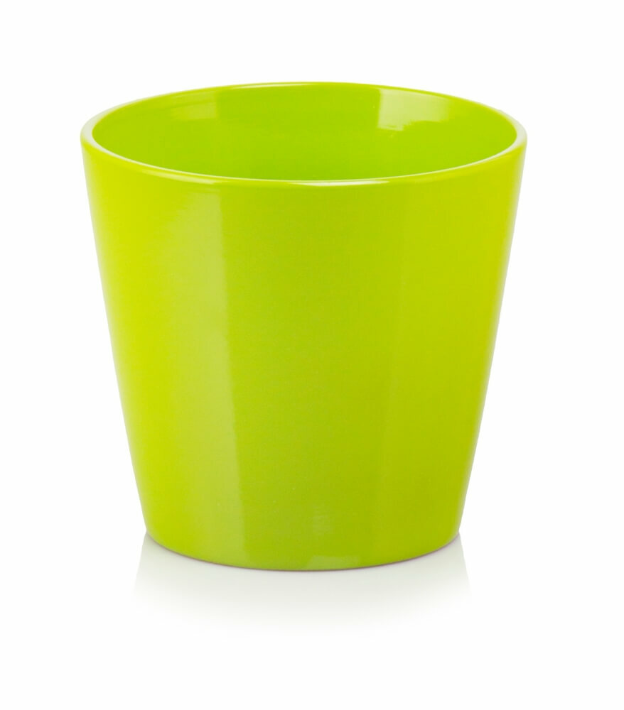 product 1446.jpg product 1446.jpg