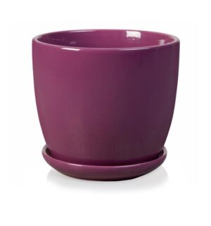 product 2012.jpg