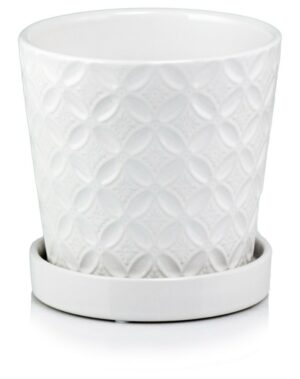 product 2221.jpg