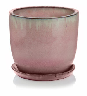 product 2227.jpg