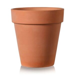 product 2353.jpg