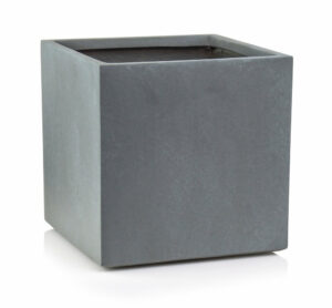 product 2430.jpg