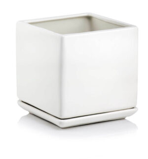 product 2471.jpg