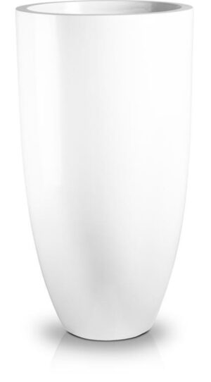 product 257.jpg